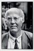 Portrait of Stolwijk